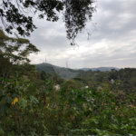 Terreno à venda em Barro Branco (zona Norte), São Paulo, SP