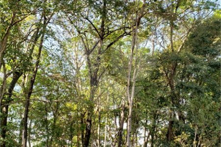 Casa à venda com 4 suítes no condomínio Bosque São Bento I, Sorocaba - SP