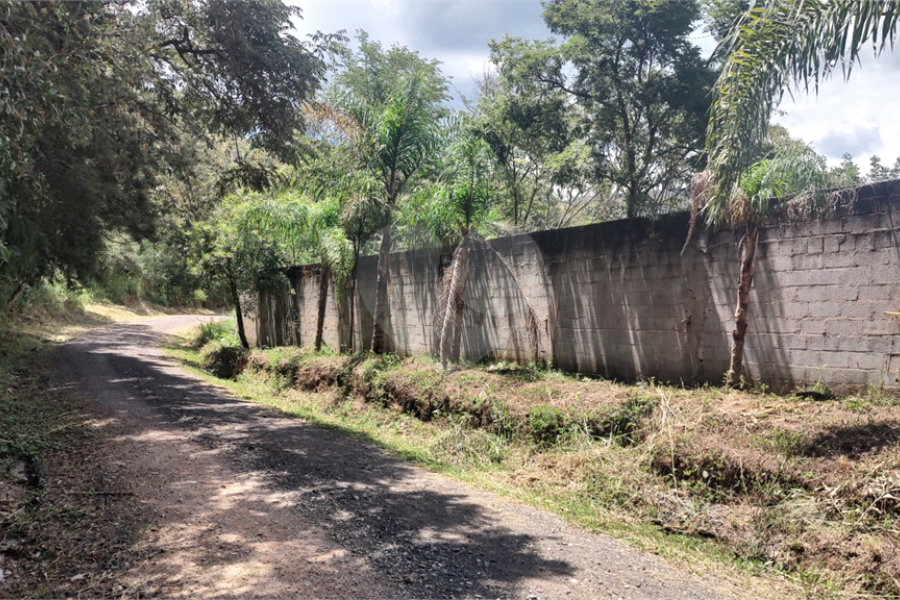Terreno à venda em Serra da Cantareira, Mairiporã, SP