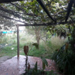 Sobrado à venda com 1 quarto em Limão, São Paulo, SP