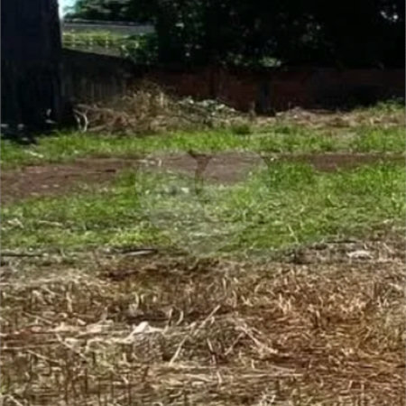 Terreno à venda em Vila Aurora, Dourados, MS