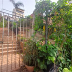 Casa à venda com 2 quartos em Lauzane Paulista, São Paulo, SP