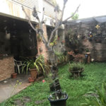 Sobrado à venda com 5 quartos, sendo 1 suíte, em Tremembé, São Paulo, SP