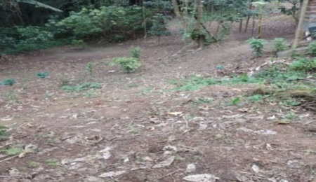 Terreno à venda em Jardim Ampliação, São Paulo, SP