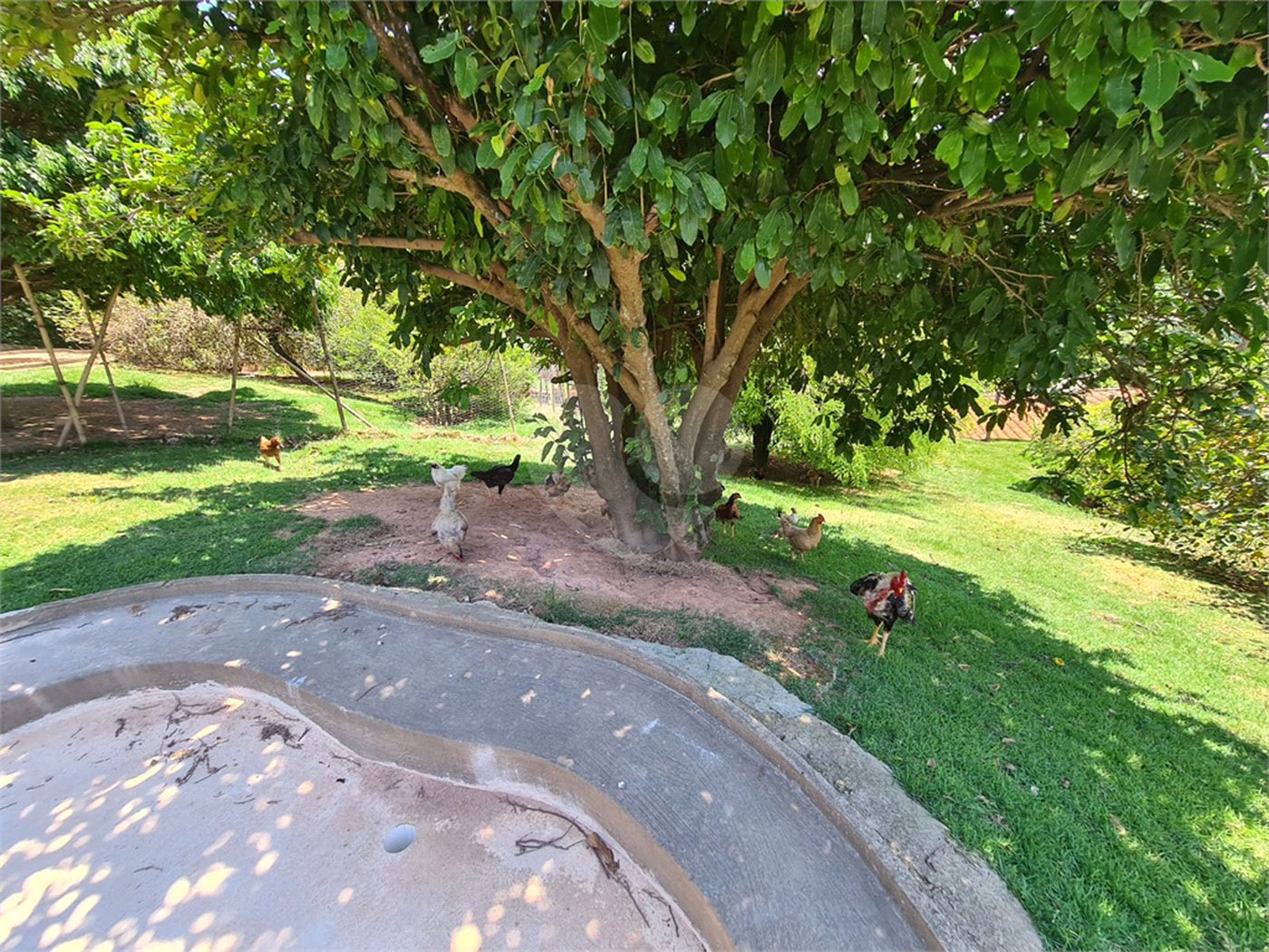 Chácara à venda com 4 quartos, sendo 2 suítes, em Parque Valinhos, Valinhos, SP