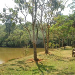 Casa à venda com 4 suítes no condomínio Parque das Artes, Embu das Artes - SP