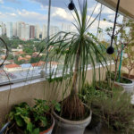 Apartamento à venda com 3 quartos, sendo 1 suíte, em Brooklin Paulista, São Paulo, SP