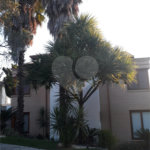 Casa à venda com 4 suítes no condomínio Jardim Vila Paradiso, Indaiatuba - SP