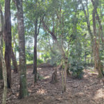 Chácara à venda ou para alugar com 3 quartos, sendo 1 suíte,  em Parque Residencial Itapeti, Mogi das Cruzes, SP