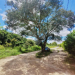 Lote à Venda – Oportunidade! 1.000 m² – Recanto Campestre Internacional de Viracopos (Gleba 4) – Indaiatuba/SP