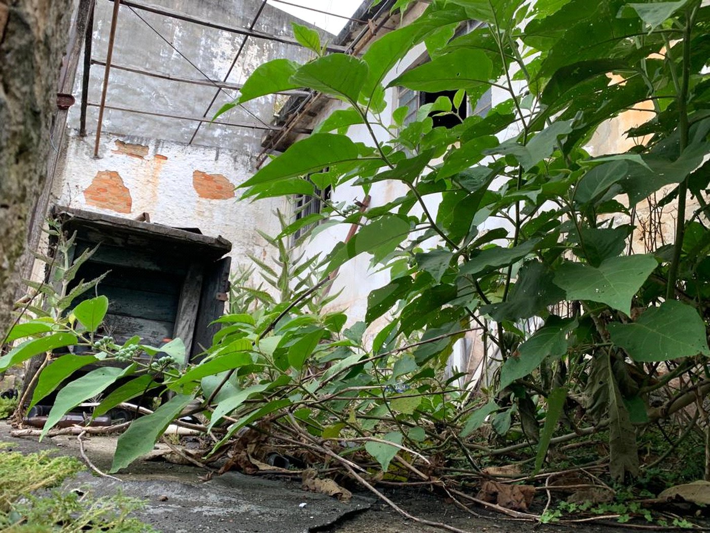 Casa à venda com 2 quartos em Parada Inglesa, São Paulo, SP