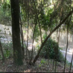 Terreno à venda em Jardim Peri Peri, São Paulo, SP