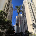 Apartamento à venda com 2 quartos em Jardim Monte Alegre, São Paulo, SP
