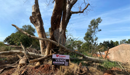 Terreno à venda em Jardim Itaipu, Ponta Porã, MS