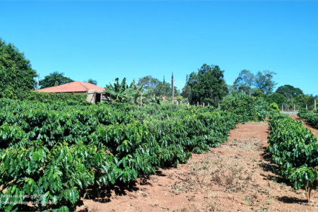 Chácara à venda em Campo Grande, Pilar do Sul, SP