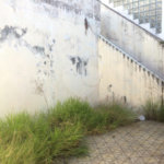 Sobrado à venda com 3 quartos, sendo 1 suíte, em Jardim São Paulo(zona Norte), São Paulo, SP