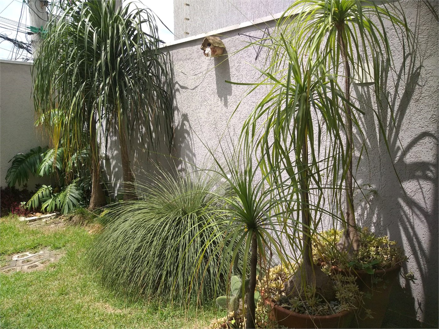 Sobrado à venda com 3 suítes em Santana, São Paulo, SP