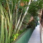 Casa Térrea à venda com 3 quartos, sendo 2 suítes, em Vila Irmãos Arnoni, São Paulo, SP