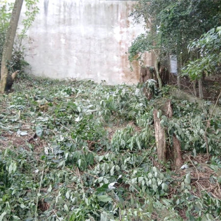 Terreno à venda em Tucuruvi, São Paulo, SP