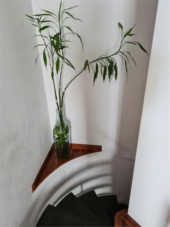Apartamento à venda com 2 quartos em Vila Andrade, São Paulo, SP