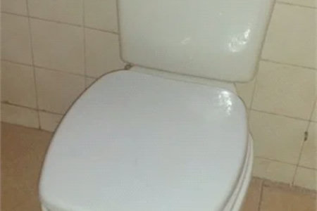 Sobrado à venda com 2 quartos em Jardim Maria Virginia, São Paulo, SP