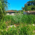 Terreno à venda em Jaçanã, São Paulo, SP