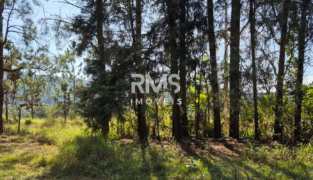 Sítio à venda com 6 quartos, sendo 1 suíte,  em Potribu de Cima, Itu, SP