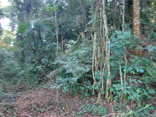 Terreno à venda no condomínio Sausalito, Mairiporã - SP