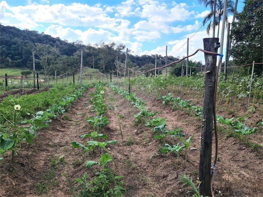 VENDA SÍTIO 48 hectares com estruura para granja, hidroponia e gado