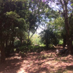 Terreno à venda com 1 suíte no condomínio São Joaquim, Vinhedo - SP