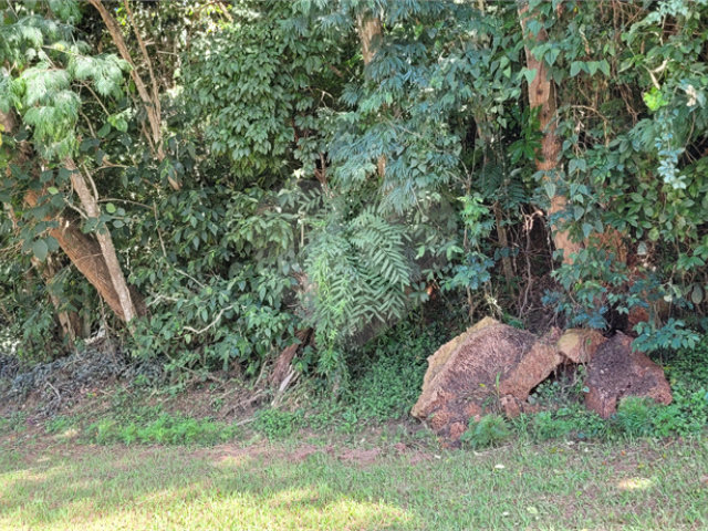 Terreno à venda em Serra da Cantareira, Mairiporã, SP