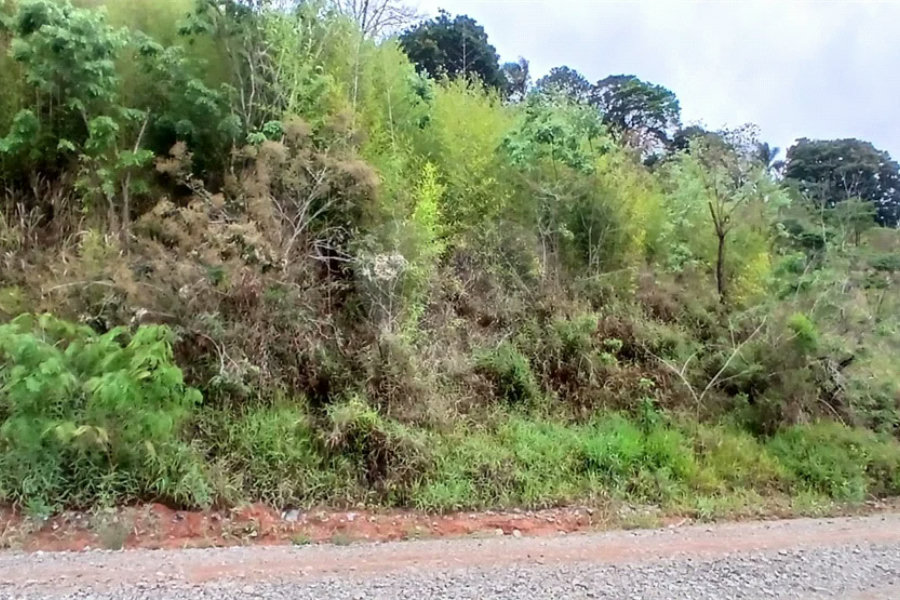 Terreno à venda em Luiz Fagundes, Mairiporã, SP