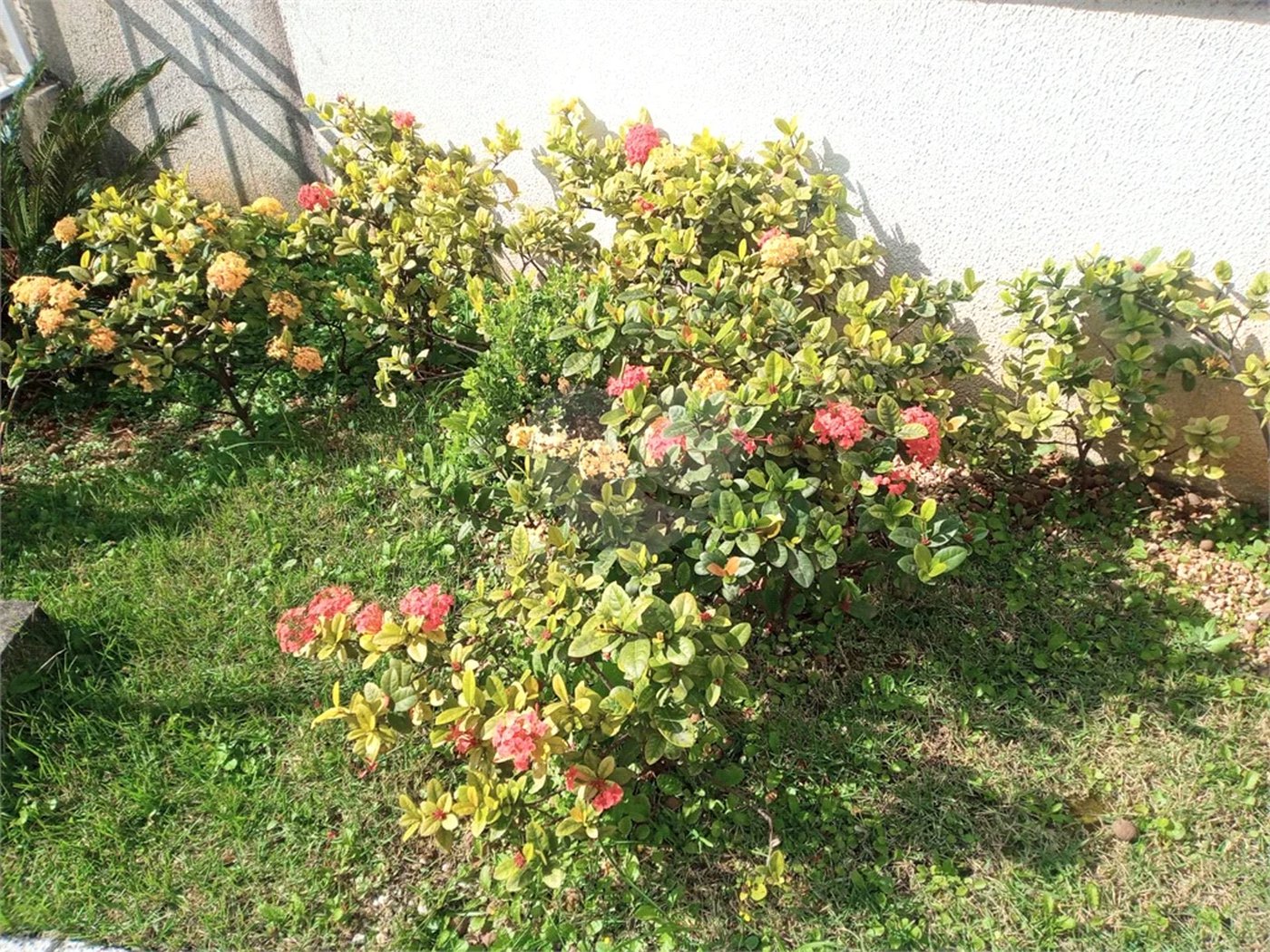 Apartamento à venda com 2 quartos em Casa Verde, São Paulo, SP