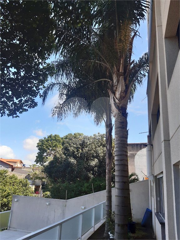 Apartamento à venda com 3 quartos, sendo 1 suíte, em Pirituba, São Paulo, SP