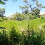Terreno à venda em Jardim Shangri-lá, Atibaia, SP