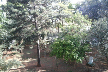 Casa para alugar com 4 quartos, sendo 2 suítes, no condomínio Palm Garden, São Paulo - SP