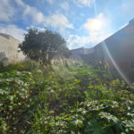 Terreno à venda em Vila Nastri, Itapetininga, SP