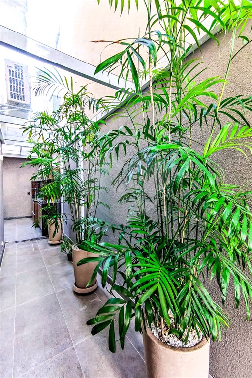 Casa à venda com 3 suítes no condomínio Residencial Paineiras, São Paulo - SP