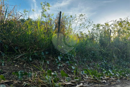 Terreno à venda em Marina, Armação dos Búzios, RJ
