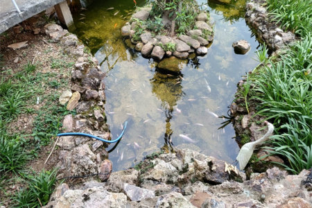Chácara à venda com 3 quartos, sendo 1 suíte, em Bairro do Machadinho, Angatuba, SP