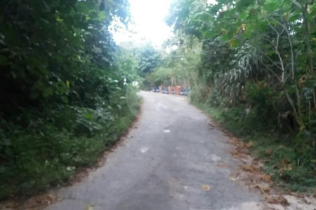 Terreno à venda em Tucuruvi, São Paulo, SP