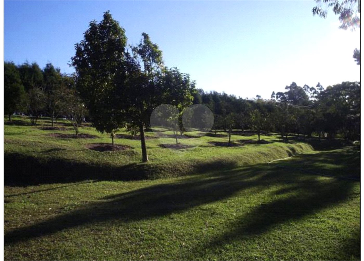 Terreno à venda em Vila Darcy Penteado (mailasqui), São Roque, SP
