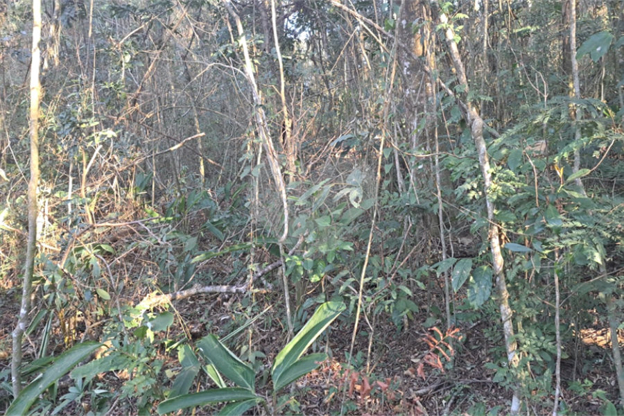 Terreno à venda em Serra da Cantareira, Mairiporã, SP