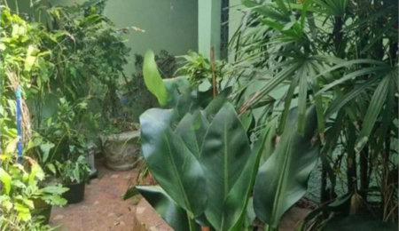 Casa de Vila à venda com 3 quartos em Jardim São Roque, São Paulo, SP