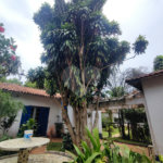 Terreno para venda no Campo Belo