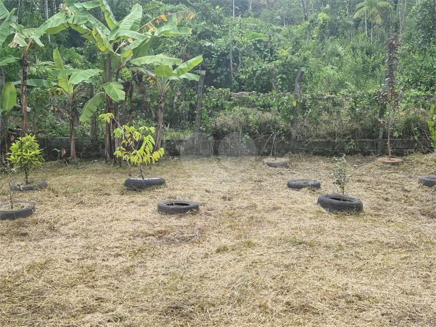 Chácara à venda com 4 quartos em Aguapeú, Itanhaém, SP