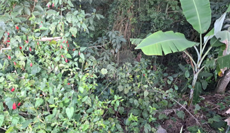 Terreno à venda no condomínio Sausalito, Mairiporã - SP