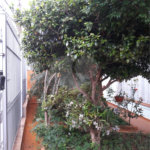 Casa Térrea à venda com 2 quartos em Freguesia do Ó, São Paulo, SP
