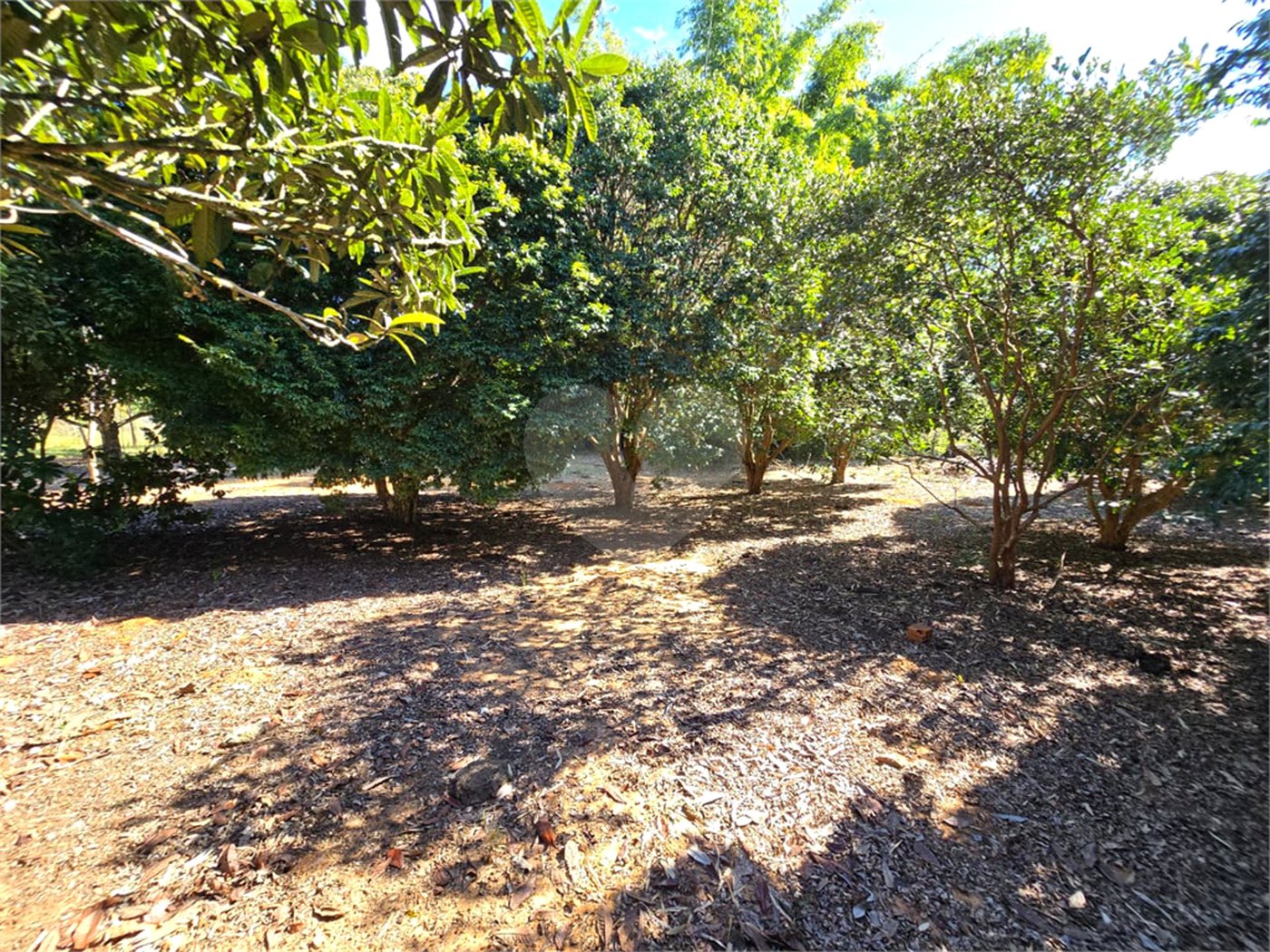 Terreno à venda em Cercadinho, Alambari, SP