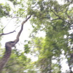 Terreno à venda no condomínio Cantareira, Mairiporã - SP